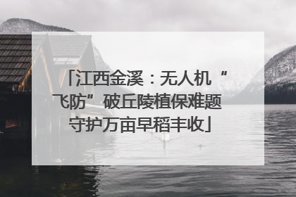 江西金溪：无人机“飞防”破丘陵植保难题 守护万亩早稻丰收