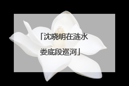 沈晓明在涟水娄底段巡河
