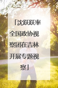 沈跃跃率全国政协视察团在吉林开展专题视察