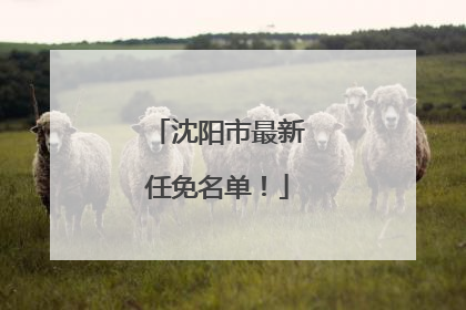 沈阳市最新任免名单！