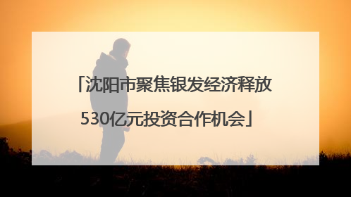 沈阳市聚焦银发经济释放530亿元投资合作机会
