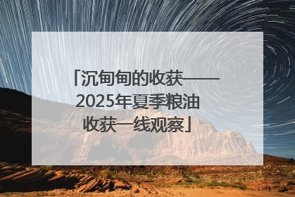 沉甸甸的收获——2025年夏季粮油收获一线观察