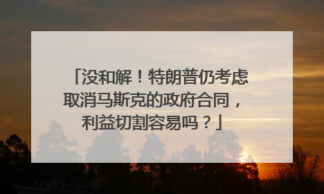 没和解！特朗普仍考虑取消马斯克的政府合同，利益切割容易吗？