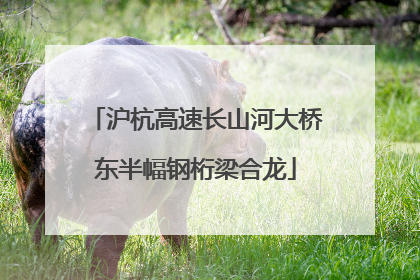 沪杭高速长山河大桥东半幅钢桁梁合龙