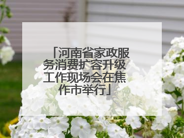 河南省家政服务消费扩容升级工作现场会在焦作市举行
