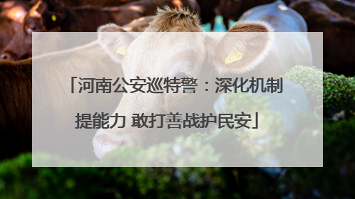 河南公安巡特警：深化机制提能力 敢打善战护民安