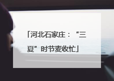 河北石家庄：“三夏”时节麦收忙