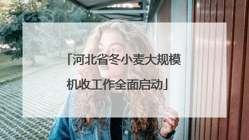 河北省冬小麦大规模机收工作全面启动
