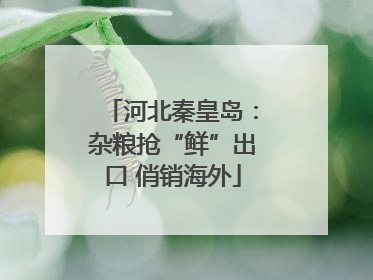 河北秦皇岛：杂粮抢“鲜”出口 俏销海外