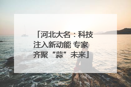 河北大名：科技注入新动能 专家齐聚“蒜”未来