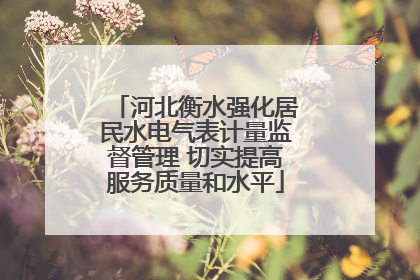 河北衡水强化居民水电气表计量监督管理 切实提高服务质量和水平