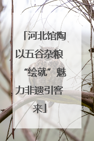 河北馆陶以五谷杂粮“绘就”魅力非遗引客来