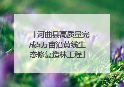河曲县高质量完成5万亩沿黄线生态修复造林工程