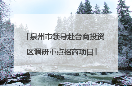 泉州市领导赴台商投资区调研重点招商项目