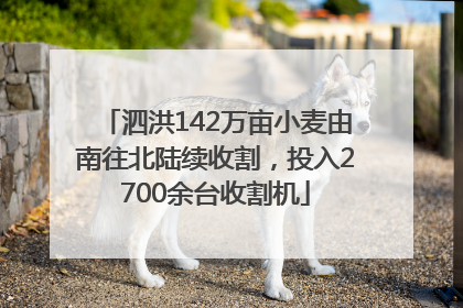 泗洪142万亩小麦由南往北陆续收割，投入2700余台收割机