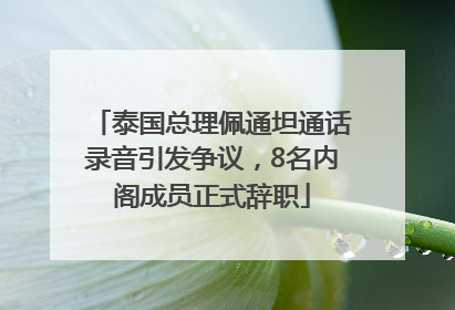 泰国总理佩通坦通话录音引发争议，8名内阁成员正式辞职