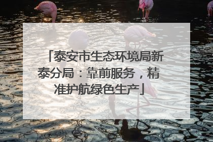 泰安市生态环境局新泰分局：靠前服务，精准护航绿色生产