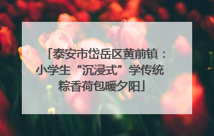 泰安市岱岳区黄前镇：小学生“沉浸式”学传统 粽香荷包暖夕阳