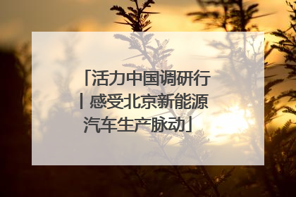 活力中国调研行丨感受北京新能源汽车生产脉动