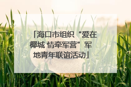 海口市组织“爱在椰城 情牵军营”军地青年联谊活动
