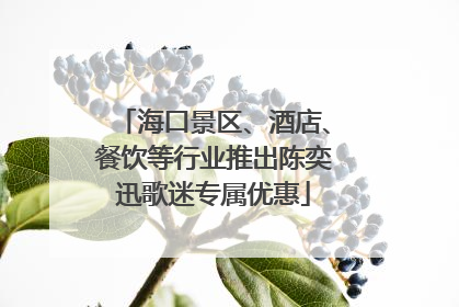 海口景区、酒店、餐饮等行业推出陈奕迅歌迷专属优惠