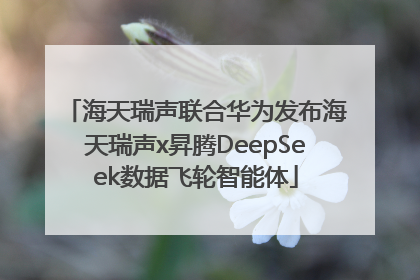 海天瑞声联合华为发布海天瑞声x昇腾DeepSeek数据飞轮智能体