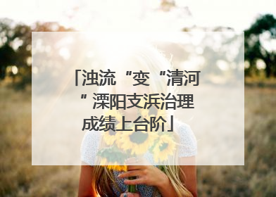 浊流“变“清河“ 溧阳支浜治理成绩上台阶