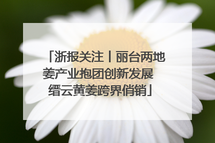 浙报关注丨丽台两地姜产业抱团创新发展 缙云黄姜跨界俏销