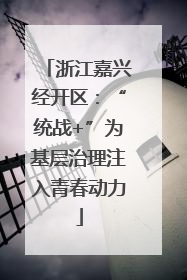 浙江嘉兴经开区：“统战+”为基层治理注入青春动力