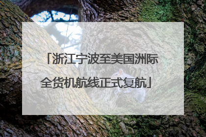 浙江宁波至美国洲际全货机航线正式复航