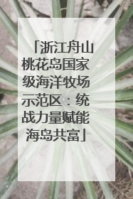 浙江舟山桃花岛国家级海洋牧场示范区：统战力量赋能海岛共富