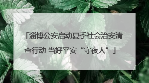 淄博公安启动夏季社会治安清查行动 当好平安“守夜人”