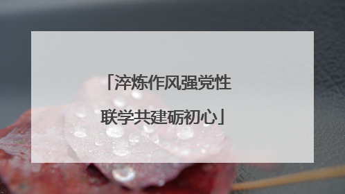 淬炼作风强党性 联学共建砺初心