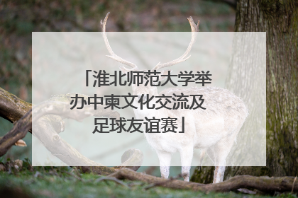 淮北师范大学举办中柬文化交流及足球友谊赛