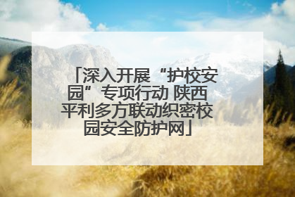 深入开展“护校安园”专项行动 陕西平利多方联动织密校园安全防护网