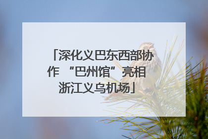 深化义巴东西部协作 “巴州馆”亮相浙江义乌机场