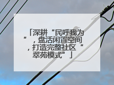 深耕“民呼我为”，盘活闲置空间，打造完整社区“翠苑模式”