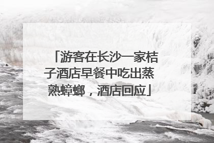 游客在长沙一家桔子酒店早餐中吃出蒸熟蟑螂，酒店回应