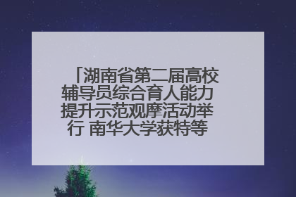 湖南省第二届高校辅导员综合育人能力提升示范观摩活动举行 南华大学获特等奖和一等奖