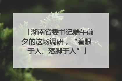 湖南省委书记端午前夕的这场调研，“着眼于人、落脚于人”