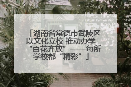 湖南省常德市武陵区以文化立校 推动办学“百花齐放”——每所学校都“精彩”