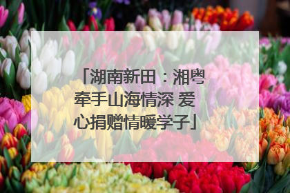 湖南新田：湘粤牵手山海情深 爱心捐赠情暖学子