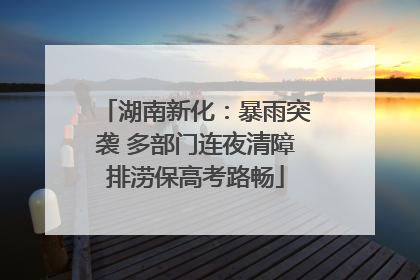 湖南新化：暴雨突袭 多部门连夜清障排涝保高考路畅