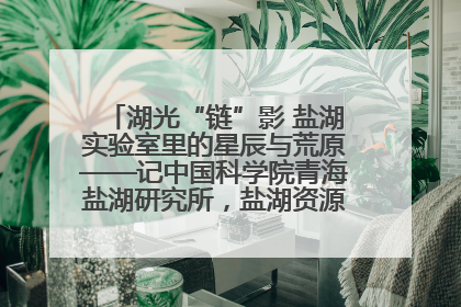 湖光“链”影 盐湖实验室里的星辰与荒原——记中国科学院青海盐湖研究所，盐湖资源化学实验室党总支书记、副主任刘忠