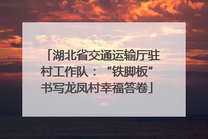 湖北省交通运输厅驻村工作队：“铁脚板”书写龙凤村幸福答卷