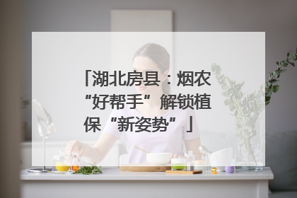 湖北房县：烟农“好帮手”解锁植保“新姿势”