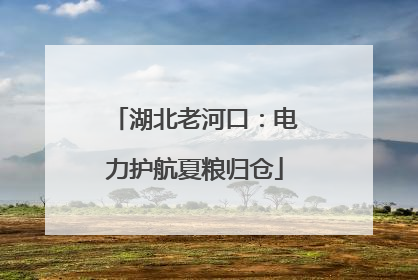 湖北老河口：电力护航夏粮归仓
