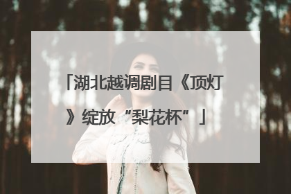 湖北越调剧目《顶灯》绽放“梨花杯”