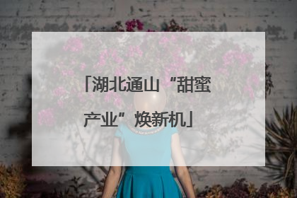 湖北通山“甜蜜产业”焕新机