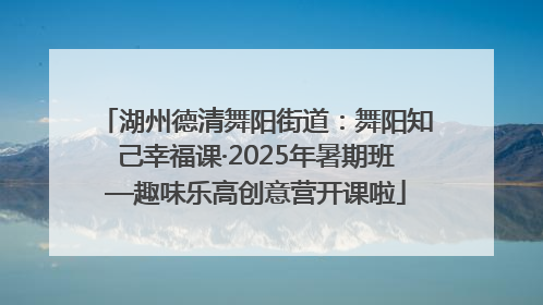 湖州德清舞阳街道：舞阳知己幸福课·2025年暑期班—趣味乐高创意营开课啦